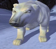 Polar Bear IC.jpg (55 KB)