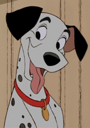 Pongo as Bill Jensen