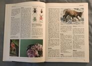 The Kingfisher Illustrated Encyclopedia of Animals (16)