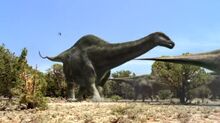 Apatosaurus.jpg