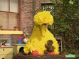 Big Bird is asleep in the beginning of Journey to Ernie: Shapes
