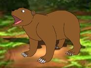Rileys äventyr Eurasian Brown Bear