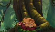 Simba grows into a teenager as he sleeps with Timon and Pumbaa