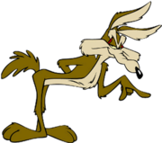 Wile E. Coyote the Mearn's Coyote