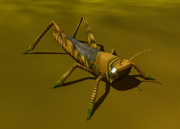 Grasshopper IC.png