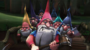 Gnomes as Elves