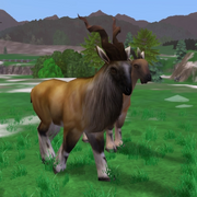 Markhor Game zooempire2