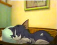 Tom Cat Sleeping