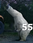 Zoo 2015 Polar Bear.png (391 KB)