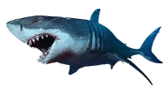 BTJG Shark.png (1.03 MB) Great White Shark