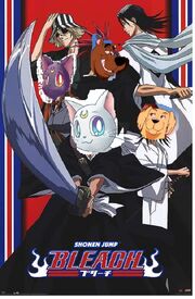 Chris1702 bleach.jpg