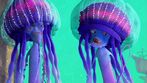 Ernie the Jellyfish and Bernie the Jellyfish in Shark Tale (2004)