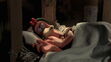Ginger (Chicken Run) sleeping