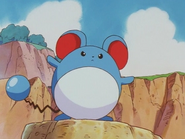 Marill (Pikachu's Vacation)