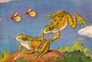 Noah's Ark Bullfrogs