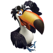 Toco Toucan