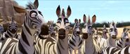 The Zeb Clan as the zebras.