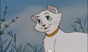 Aristocats-disneyscreencaps.com-4912