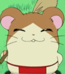 hamtaro howdy