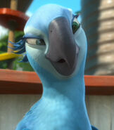 Jewel in Rio 2