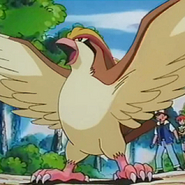 Ash's Pidgeot as Himself