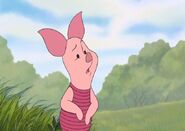 Piglet as Tramp