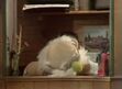 Pops sleeping in the Reception of The Muppet Theatre