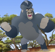 Shujaa as King Kong