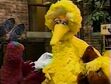 Baby Bear nestles against Big Bird's soft feathers, that he falls asleep