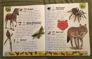 Endangered Animals Dictionary (19)