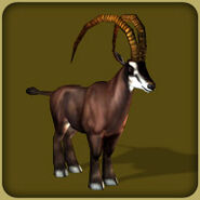 Giant Sable Antelope (Blue Fang)