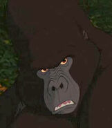 Kerchak as Bob