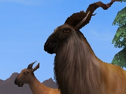 Markhor-zootycoon2018