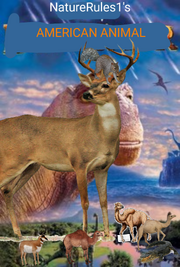 NR1 American Animal 2000 Poster.png