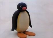 Pingu in season 1
