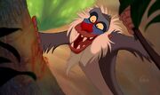 Rafiki the Mandrill (The Lion King)