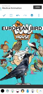 TEBH Poster.png