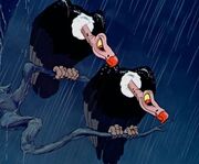 Evil Vultures