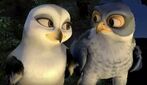 Kai the Falcon and Zoe (Zambezia)