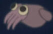 Ponyo Bobtail Squid