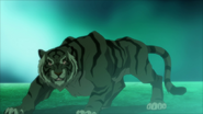 Beast Boy as a Tiger