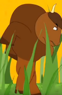 Funny-animals-2-bison