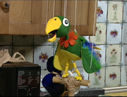 Potty the Parrot