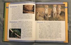 List of Species in Scholastic Encyclopedia of Animals | The Parody Wiki | Fandom List of Species in Scholastic Encyclopedia of Animals | The Parody Wiki | Fandom