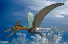 495836343-ludodactylus-sibbicki-a-pterosaur-from-the-gettyimages 5cd3.jpg