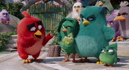 Angry-birds-disneyscreencaps.com-780