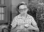 DownloadTooey Brown.png (334 KB) Tooey Brown