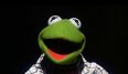 Kermit the Frog in The Muppets Take Manhattan