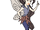 Vidia Cartoon Animated