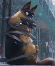 German Shepherd  in Fly Hard  